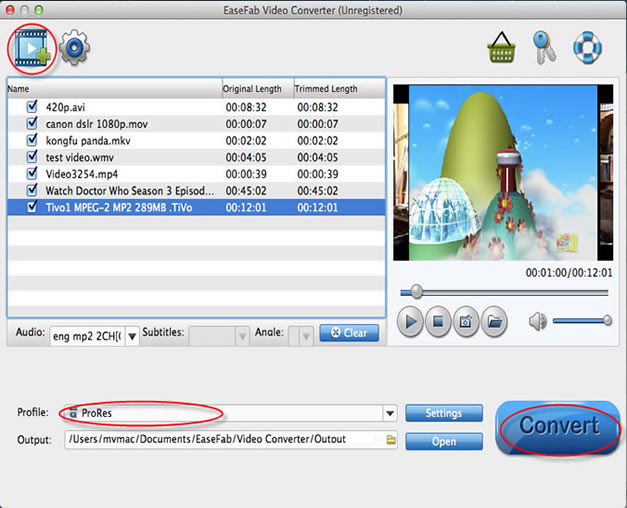 Webxvid codec free download for mac os